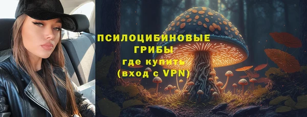 герыч Алзамай