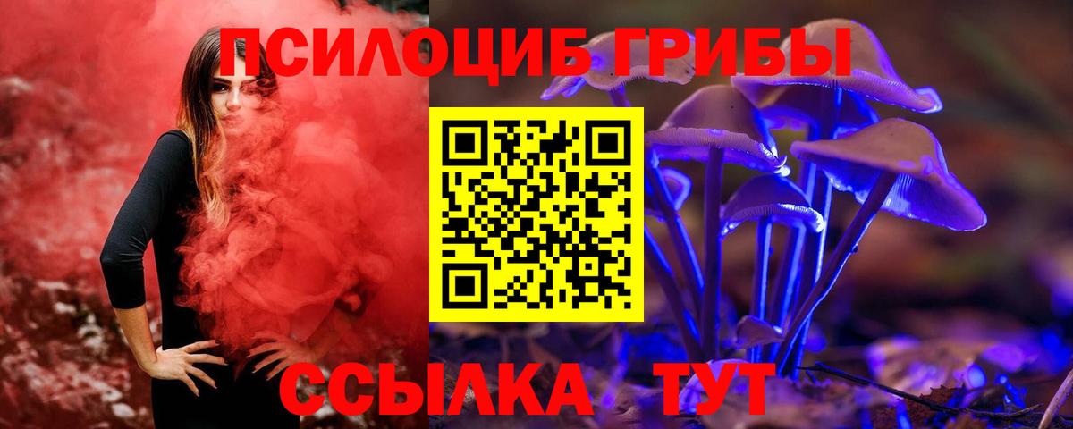 Галлюциногенные грибы мухоморы  Вход с VPN  Псилоцибиновые грибы мицелий  Борзя 